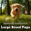 718rCwvNhfL._SL1200_.jpg Pedigree PRO Puppy Large Breed, 3 kg Dry Dog Food, Vet Trust...