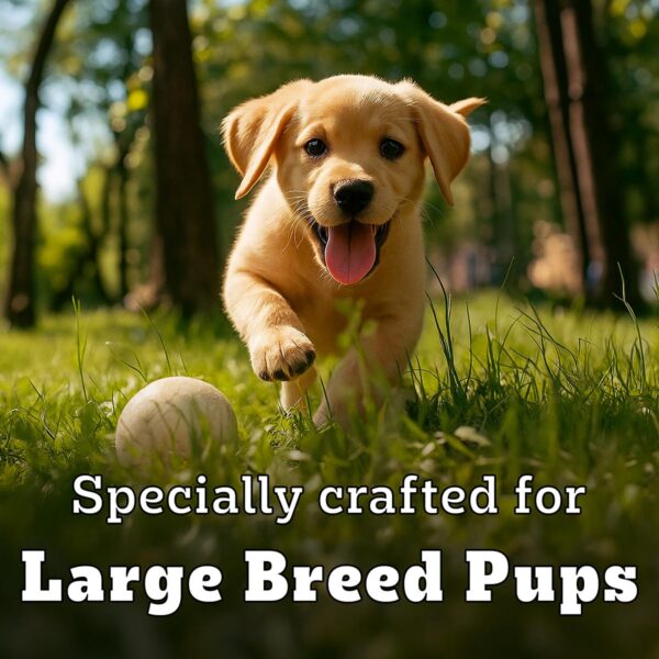 718rCwvNhfL._SL1200_.jpg Pedigree PRO Puppy Large Breed, 3 kg Dry Dog Food, Vet Trust...