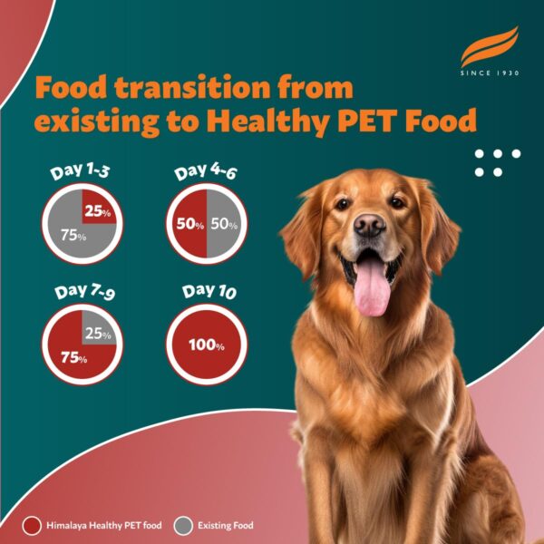 Himalaya Healthy PET Food for Adult Dogs | Meat & Rice | 1.2...
