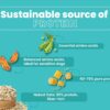 Bark Out Loud Veg Adult Dog Food for Medium & Large Breeds -...