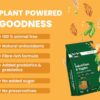 Bark Out Loud Veg Adult Dog Food for Medium & Large Breeds -...