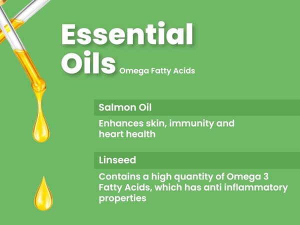 BARK OUT LOUD Dry Dog Food Adult | Fresh Salmon & Turkey, Lo...