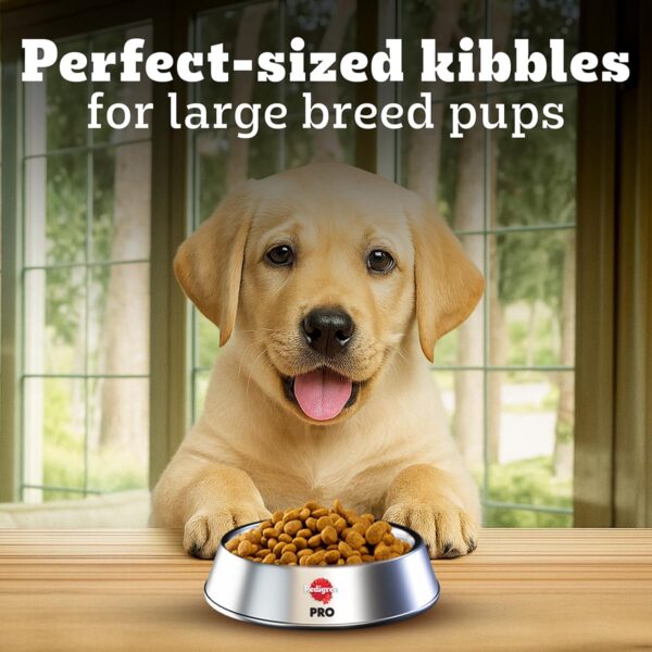 71P5-AqvtOL._SL1200_.jpg Pedigree PRO Puppy Large Breed, 3 kg Dry Dog Food, Vet Trust...