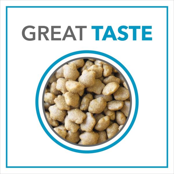 Purepet Kitten Dry Cat Food 1.2kg | Ocean Fish Flavour | Sup...