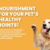 BARK OUT LOUD Dry Dog Food Adult | Fresh Salmon & Turkey, Lo...