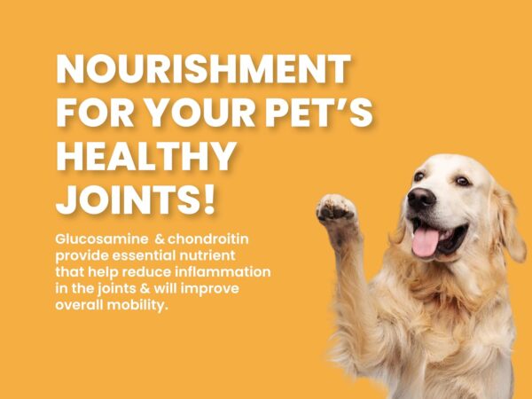 BARK OUT LOUD Dry Dog Food Adult | Fresh Salmon & Turkey, Lo...
