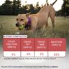 Bowlers Adult Wet Dog Food | Lamb in Gravy |80 GMS (Pack of ...