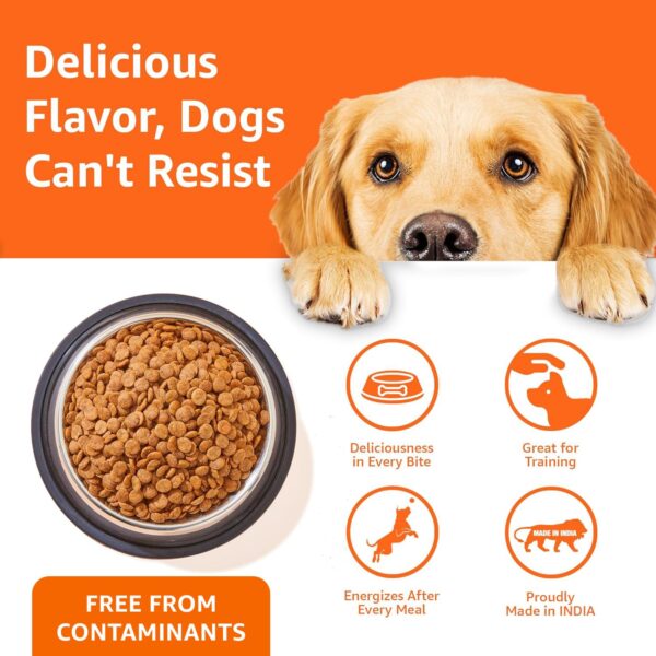 71awPL3yu0L._SL1500_.jpg Amazon Basics Dry Dog Food | 5 Kg | Chicken & Rice | with Re...
