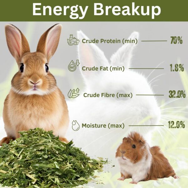 71cO8b3LbsL._SL1500_.jpg Sage Square Alfalfa Hay - Protein, Calcium-Rich Hay for Rabb...