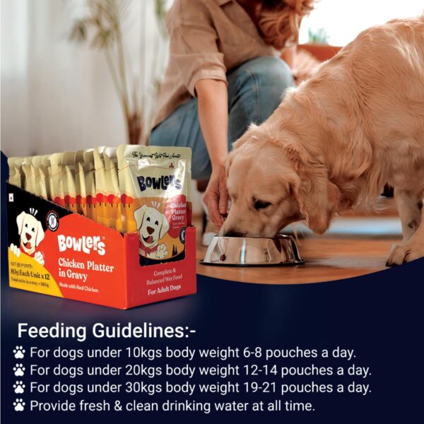 Bowlers Adult Wet Dog Food | Chicken Platter in Gravy |80 GM...