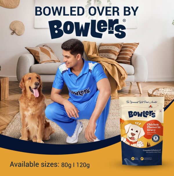 Bowlers Adult Wet Dog Food | Chicken Platter in Gravy |80 GM...