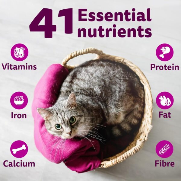 71iUGkmet8L._SL1500_.jpg Whiskas Adult (1+ Years) Dry Cat Food, Tuna Flavour, 1.2 kg,...