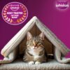71oMo3E6nmL._SL1500_.jpg Whiskas Adult (1+ Years) Dry Cat Food, Tuna Flavour, 1.2 kg,...