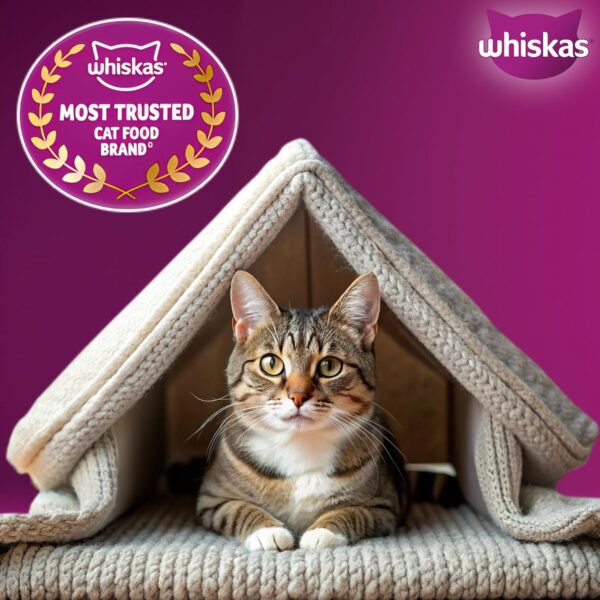 71oMo3E6nmL._SL1500_.jpg Whiskas Adult (1+ Years) Dry Cat Food, Tuna Flavour, 1.2 kg,...
