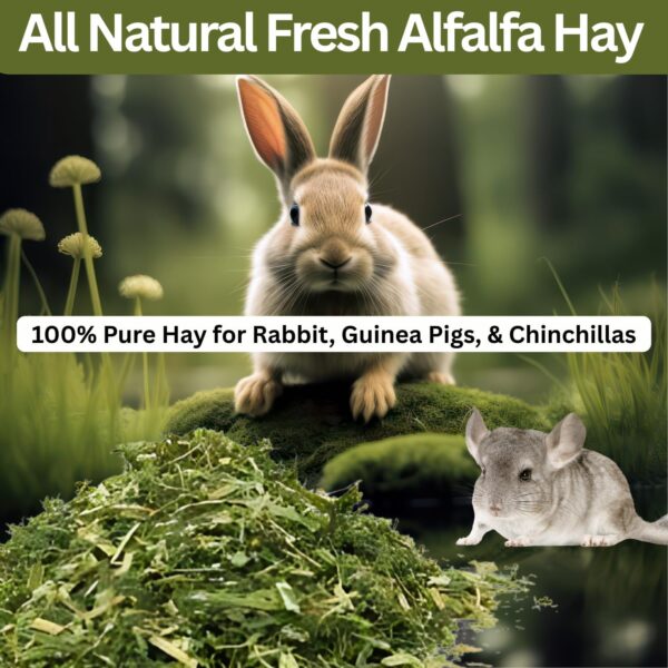 71tVrh0FUWL._SL1500_.jpg Sage Square Alfalfa Hay - Protein, Calcium-Rich Hay for Rabb...