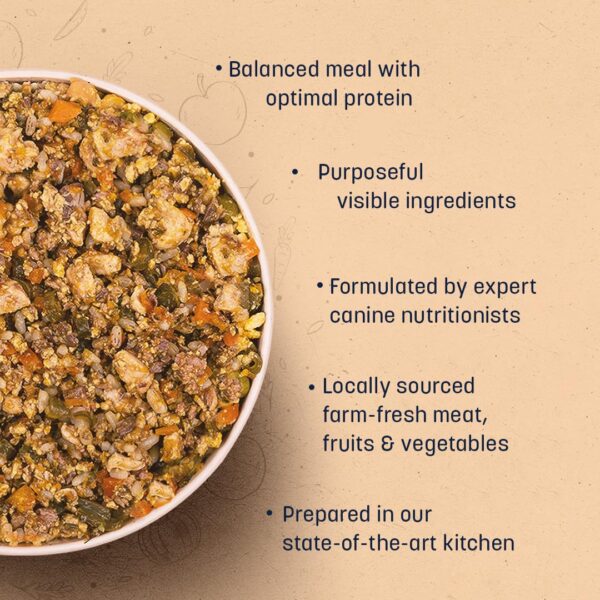 Sara's Wholesome by HUFT Classic Chicken & Brown Rice Dog Fo...