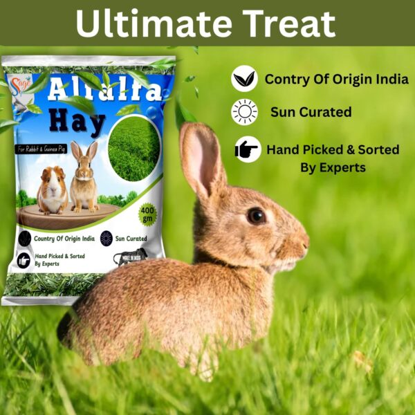 71vC9JxxllL._SL1500_.jpg Sage Square Alfalfa Hay - Protein, Calcium-Rich Hay for Rabb...