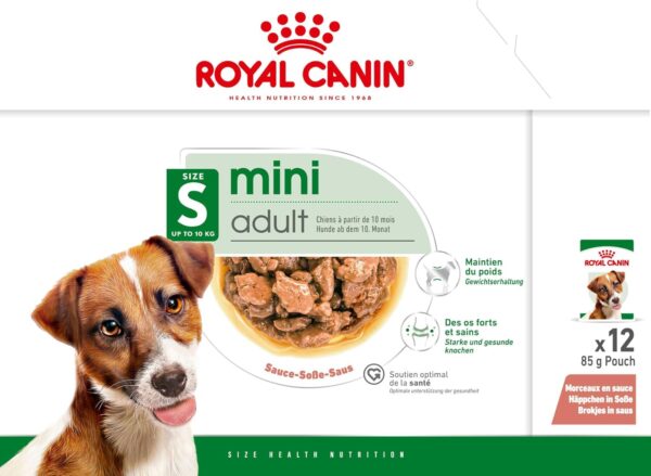 71y1hRw1YUL._SL1500_.jpg Royal Canin Mini Adult Dog Food, 85 Grams, Pack of 12 Sachet...