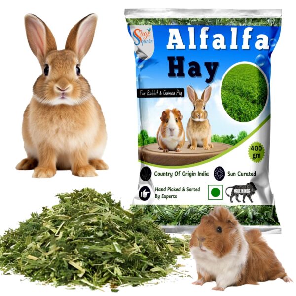71zOGXBTf0L._SL1500_.jpg Sage Square Alfalfa Hay - Protein, Calcium-Rich Hay for Rabb...