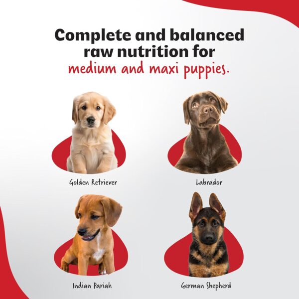 Dry Dog Food - Ultimate Diet - Medium & Maxi Breed Diet for ...