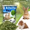 81-1XEXyaL._SL1500_.jpg Sage Square Alfalfa Hay - Protein, Calcium-Rich Hay for Rabb...