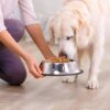 81-Ei34cCIL._SL1500_.jpg Amazon Basics Dry Dog Food | 5 Kg | Chicken & Rice | with Re...