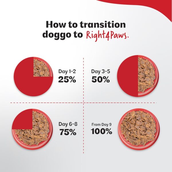 812xgknMM4L._SL1500_.jpg 2Kg Dog - Home Nutri Boost for Adult with Higher Nutrition D...
