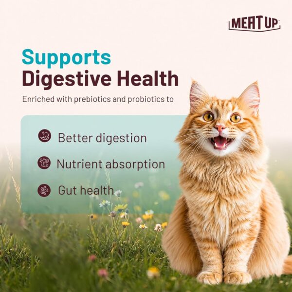 816KvZ3WKuL._SL1500_.jpg Meat Up Adult Dry Cat Food(2 x 1.2Kg Free), Total 2.4Kg | Tu...