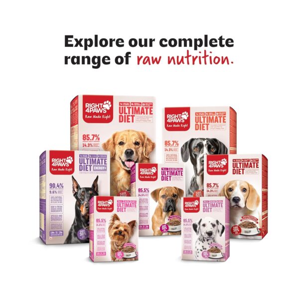 81Bz6vUvyZL._SL1500_.jpg 2kg Dog Food - Toy & Small Breed Diet for Adult with High Nu...