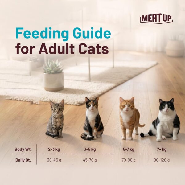 81GV9KtDY3L._SL1500_.jpg Meat Up Adult Dry Cat Food(2 x 1.2Kg Free), Total 2.4Kg | Tu...