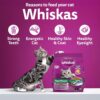 81NW1S2WEAL._SL1500_.jpg Whiskas Adult (1+ Years) Dry Cat Food, Tuna Flavour, 1.2 kg,...
