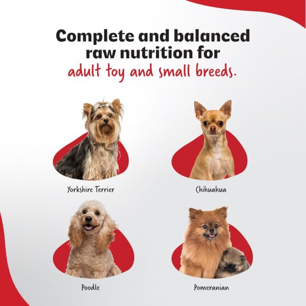 81YLRtkTkyL._SL1500_.jpg 2kg Dog Food - Toy & Small Breed Diet for Adult with High Nu...