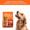 81bIxx6RVRL._SL1500_.jpg Amazon Basics Dry Dog Food | 5 Kg | Chicken & Rice | with Re...