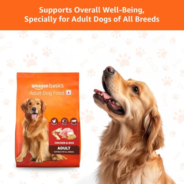 81bIxx6RVRL._SL1500_.jpg Amazon Basics Dry Dog Food | 5 Kg | Chicken & Rice | with Re...