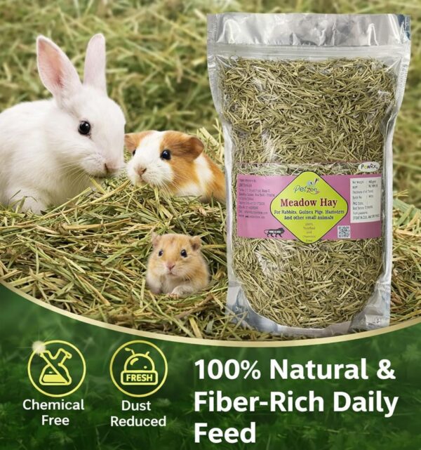 81lW-dYG84L._SL1500_.jpg Meadow Hay Food for Rabbits, Guinea Pigs, Hamsters & Other S...