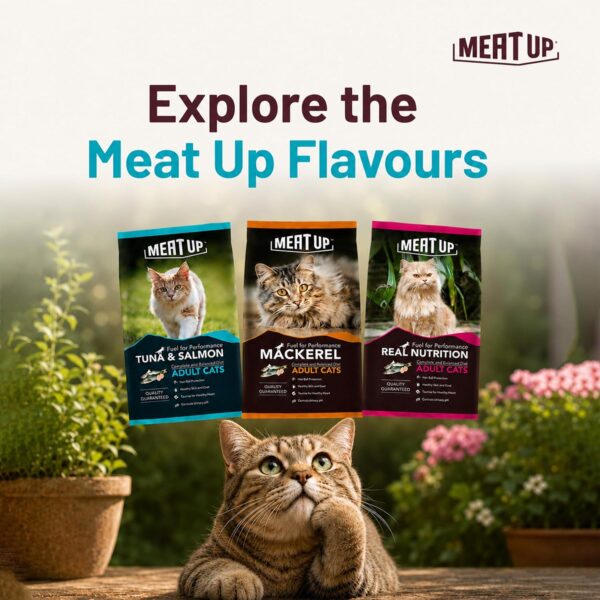 81mE7PtBBpL._SL1500_.jpg Meat Up Adult Dry Cat Food(2 x 1.2Kg Free), Total 2.4Kg | Tu...