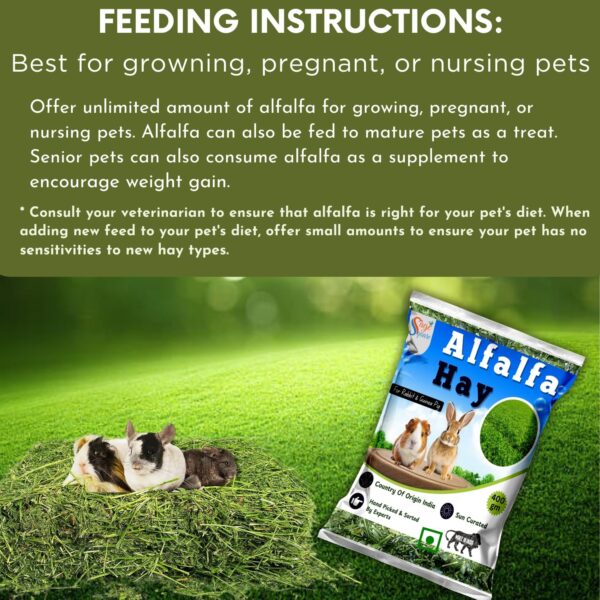81p526hQ9FL._SL1500_.jpg Sage Square Alfalfa Hay - Protein, Calcium-Rich Hay for Rabb...