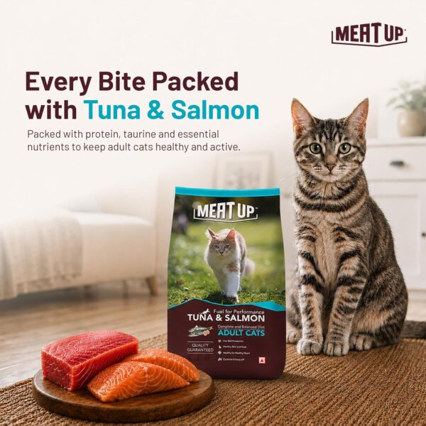 81zxlhsXrdL._SL1500_.jpg Meat Up Adult Dry Cat Food(2 x 1.2Kg Free), Total 2.4Kg | Tu...