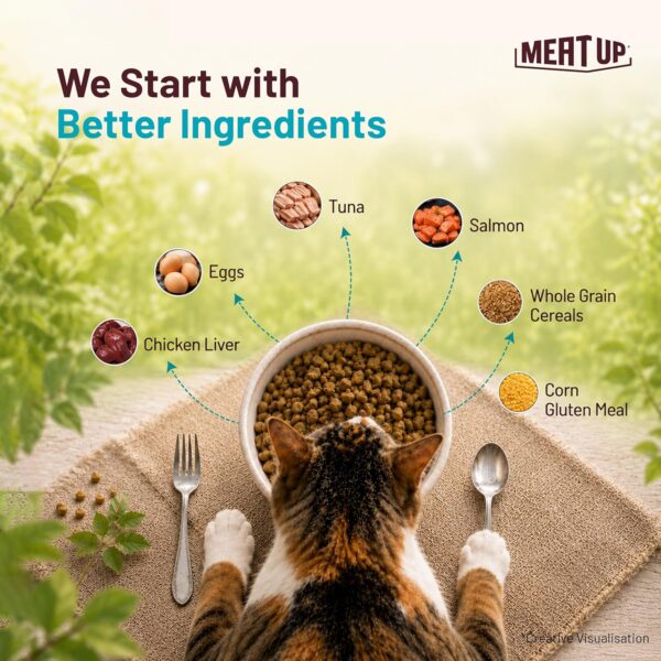 91JnIbDLKmL._SL1500_.jpg Meat Up Adult Dry Cat Food(2 x 1.2Kg Free), Total 2.4Kg | Tu...