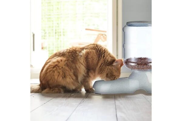 51B5t7ZjLtL._SL1200_.jpg Divik Pet Feeder Food Dispenser Station - Replenish Pet Food...