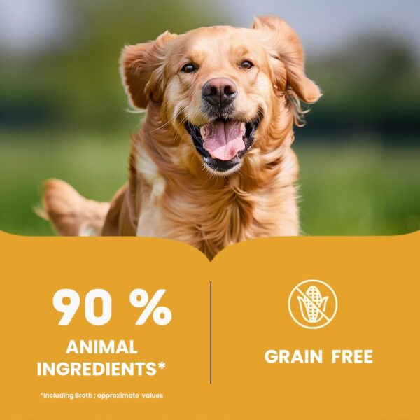 610FHPCNqGL._SL1000_.jpg Brunos Dog Wet Food Chicken Pate – 170g (Pack of 3)|for Adul...
