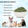 612lXVPSM1L._SL1500_.jpg Jainsons Pet Products Small Pet Alfalfa Hay 400g | High-Fibe...