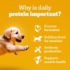 616dY7tJ6VL._SL1000_.jpg Pedigree Puppy Wet Dog Food, Chicken and Liver Chunks Flavou...