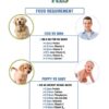 618nb6Gt91L._SL1280_.jpg Vegetarian Dog Feed Supplement (Pack of 1- 250 gm)