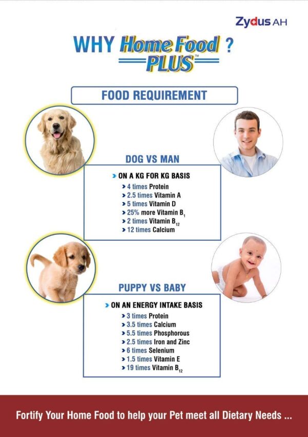 618nb6Gt91L._SL1280_.jpg Vegetarian Dog Feed Supplement (Pack of 1- 250 gm)