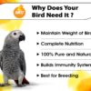 BOLTZ Food for Big Parrot, African Grey, Sun Conure, Macaw, ...