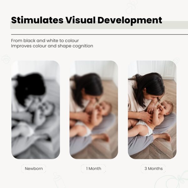 61CoWoicaOL._SL1500_.jpg High Contrast Flash Cards for Kids | 32 Objects for Visual S...