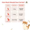 61DsGHmFIkL._SL1080_.jpg Goofy Tails Chicken Bone Broth for Cats 100 ml (100ml X 1 Pa...