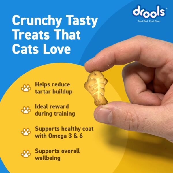 61EqgYxIDIL._SL1200_.jpg Drools Adult Cat Treat Biscuits 400g Jar | Real Chicken Flav...