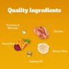 61FAoiDErnL._SL1500_.jpg Pedigree Puppy Wet Dog Food, Chicken and Liver Chunks Flavou...